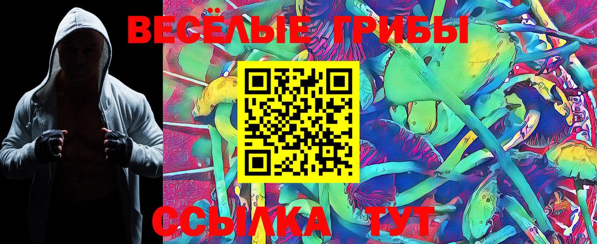 Галлюциногенные грибы MAGIC MUSHROOMS Шали